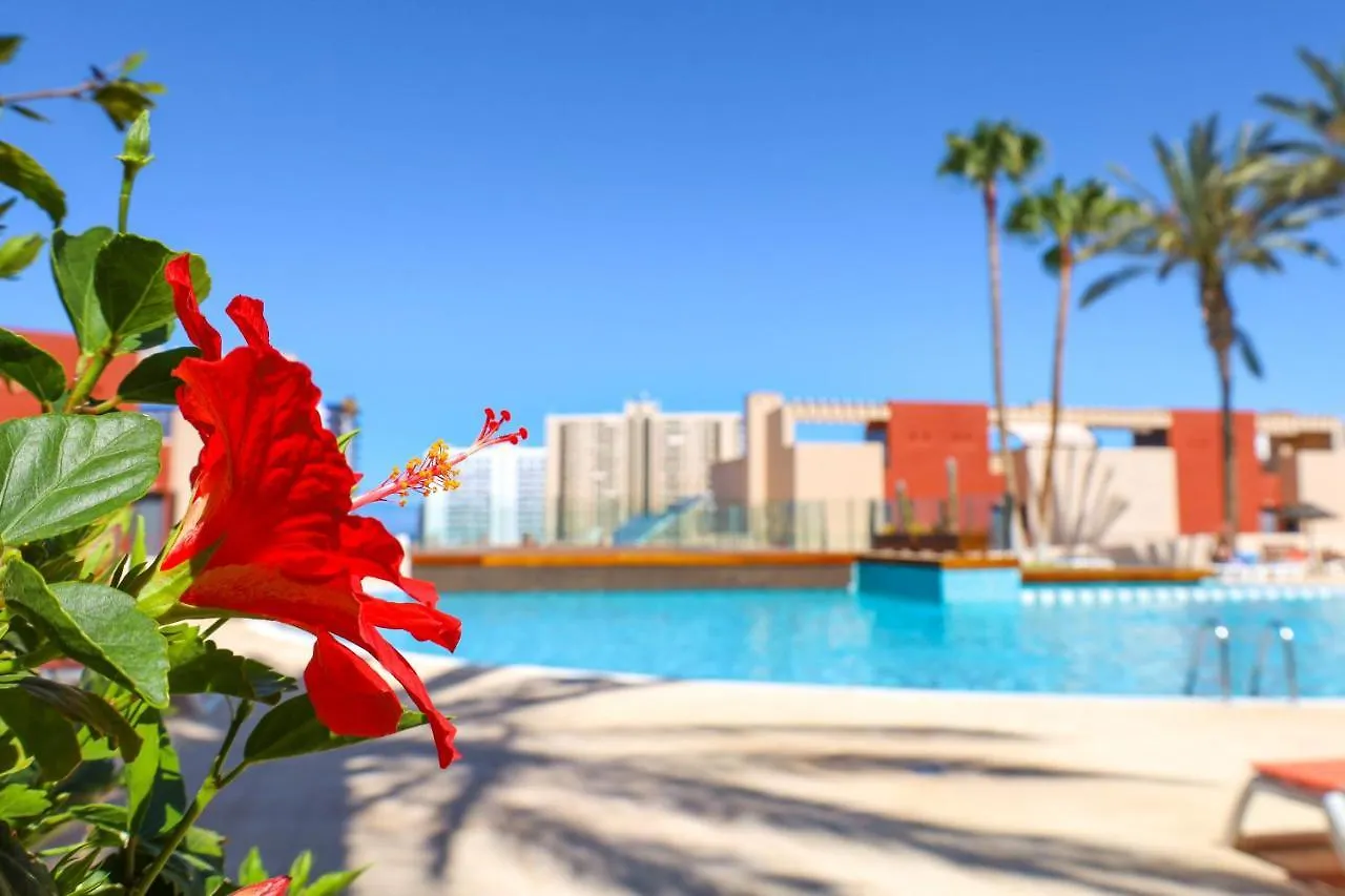 Apartamento Chill In Paradise Playa Paraiso
